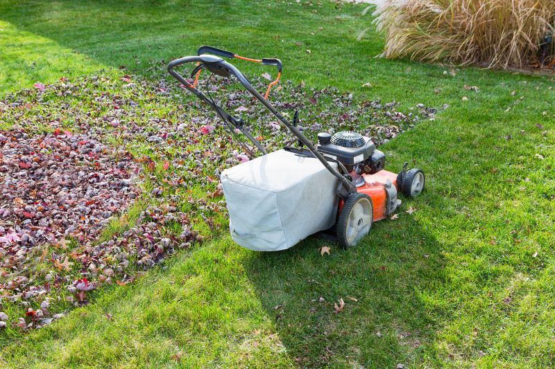 Equipment for Fall Cleanup