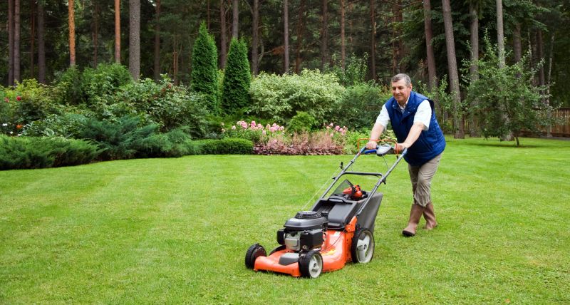 Lawn Inspection and Care