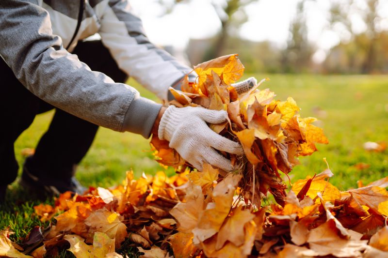 Leaf Collection Solutions