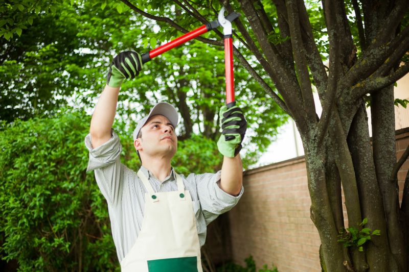 Limbs Trimming in Pottstown, PA