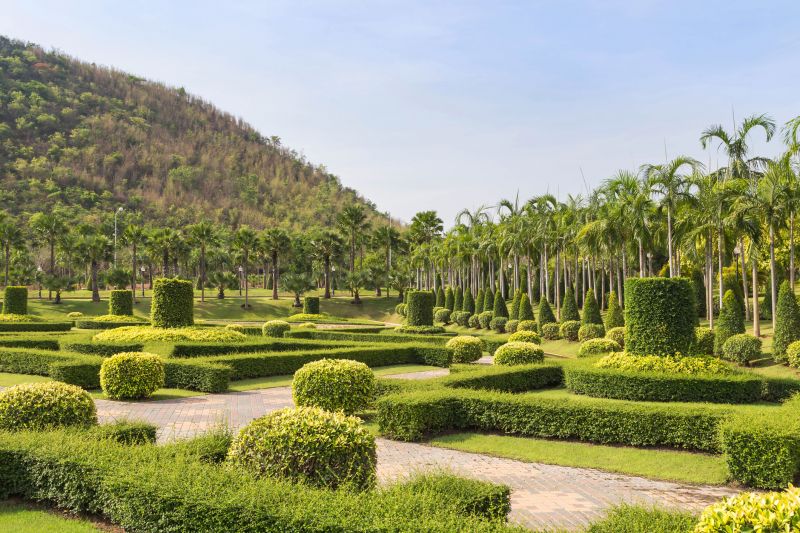 Overgrown Shrubs Tamed